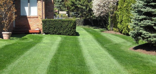 Lawn care garden grass and yard maintenance