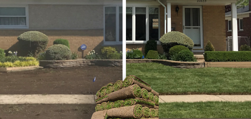 Lawn sod installation grass replacement Harrison Township, mi